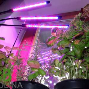 Beolina 2 karos növénynevelő LED lámpa