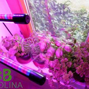 Beolina 3 karos növénynevelő LED lámpa
